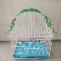 قفس