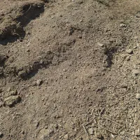 کود دامی گوسفندی|لوازم جانبی حیوانات|جوین, |دیوار