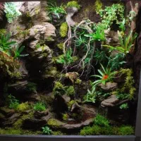 پالاداریوم نیک|گل و گیاه طبیعی|اندیشه, شهرک مریم|دیوار