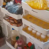 یخچال|یخچال و فریزر|شیراز, انجیر|دیوار