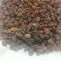 کشمش سبز و افتابی|خوردنی و آشامیدنی|قره چای, |دیوار