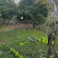 200-متر-زمین-داخل-بافت-با-پروانه