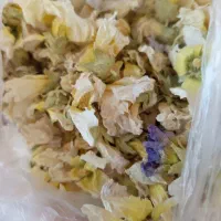 گل خطمی تازه