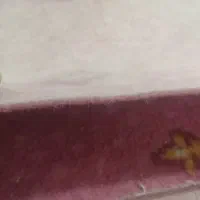 موکت ۱۲متری|موکت|قم, قلعه کامکار|دیوار