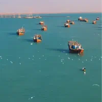 زمین تنگک دوم ۱۴۰ متری