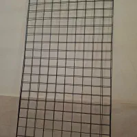 رگال و استند