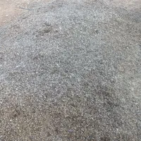 کود بلدرچین