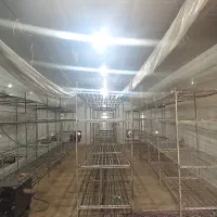 اجاره سالن قارچ با تجهیزات کامل