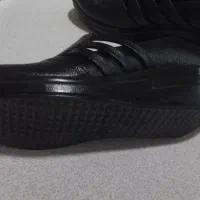 دوجفت کفش|کیف، کفش، کمربند|الوند, |دیوار