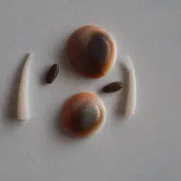 مهره قدیمی اصل