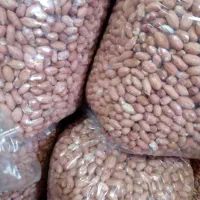 فروش فوری بادام درشت درجه یک آستانه