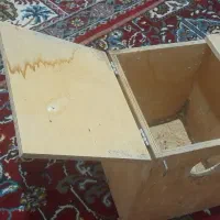 یک جفت طوطی برزیلی تخم گذار|پرنده|دورود, |دیوار