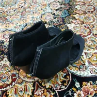 کفش مجلسی