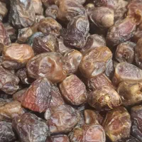 خرما مرداسنگ دانه درشت ودرجه یک