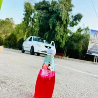 تیبا 2 (هاچبک) پلاس، مدل ۱۴۰۰|خودرو سواری و وانت|اصفهان, ارزنان|دیوار
