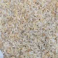 برنج زردایرانی هاشمی