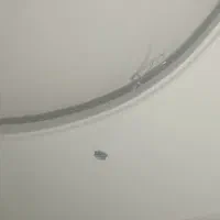 کچکاری خورده کاری