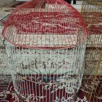 قفس|لوازم جانبی حیوانات|بندرعباس, |دیوار