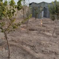 باغ 500متری|فروش دفتر صنعتی، کشاورزی، تجاری|مشهد, شیرحصار|دیوار