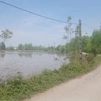 ۱۱۰۰۰هزارمترشالیزارومسکونی جای بکرسنگررشت|فروش زمین و ملک کلنگی|سنگر, |دیوار