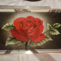 شش عدد تابلو سالم|تابلو، نقاشی، عکس|تبریز, |دیوار