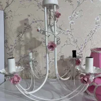 لوستر پرنسسی
