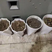 گلدان سفید بلند سرامیکی