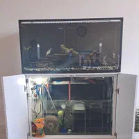 آکواریوم حرفه ای با رآکتور تصفیه آب