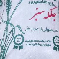 برنج محلی کامفیروزی و هندی و پاکستانی به شرط پخت|خوردنی و آشامیدنی|شیراز, شیخ روزبهان|دیوار