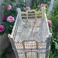 جعبه 8کیلوی و6کیلویی