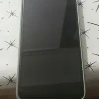 گوشی. شیامی