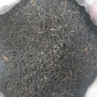 فروش چای خشک امساله|خوردنی و آشامیدنی|رشت, باهنر|دیوار