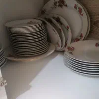 بشقاب گل سرخی