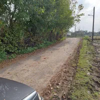 فروش زمین کشاورزی برای کاشت کیوی