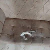 مبل شویی و لکه برداری تضمینی در شیراز|خدمات نظافت|شیراز, ارم|دیوار