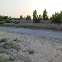 زمین کشاورزی متراژ۷۱۵ متر|فروش زمین و ملک کلنگی|مشهد, گلبرگ شمالی|دیوار