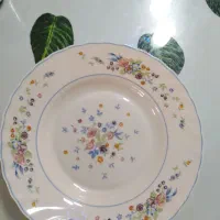 بشقاب ارکوپال