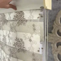 دو مدل ‌پرده زبرا ترک