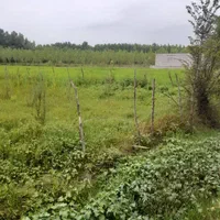 فروش زمین ۵۰۰ متری