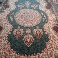 موکت|موکت|گرگان, |دیوار