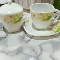 فنجان نعلبکی ارکوپال