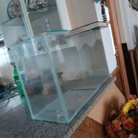 دو تا اکواریوم نونو