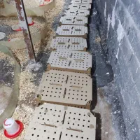 فروش جوجه بلدرچین اصل ژاپنی|حیوانات مزرعه|اطاقور, |دیوار