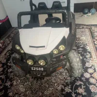 همه به صورت تکی وعمده به فروش میرسه همگی سالم