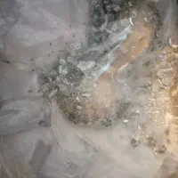لباس عروس
