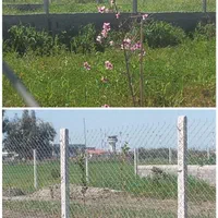 زمین نزدیک گرگان|فروش زمین و ملک کلنگی|سرخنکلاته, |دیوار