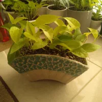 وسایل خانه در|لباس|لاهیجان, آهندان|دیوار