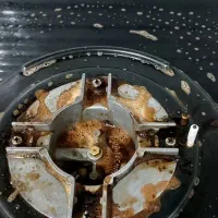 چربی بر و چودن شویِ نانو واشیونا