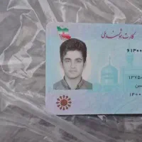 کیف قهوه ای مدارک گم کردم