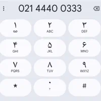 خط ثابت پونک